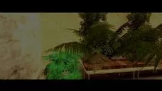 চালান Hogverrucas rp পূর্বরূপ | আবাসিক জেলা বন্ধ treaktoss