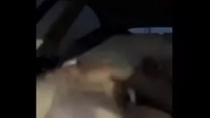 تشغيل ركوب الخيل للجمهور
