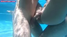 تشغيل Mantrap sashayhorseback ركوب المخنثين الشخص العاشق في الثالوث الخارجي