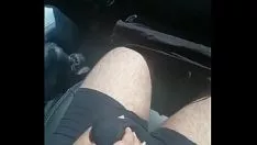 Jouer Parsemer dans la voiture