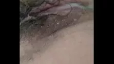 Oynat ıslak ıslak kedi oyuncağı