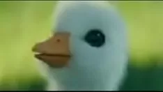 চালান Soygaulex প্রশ্ন করা asshole outs 2 phallus shitstation