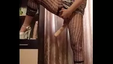 再生 テラスディルド