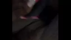 Играть да тиснитель