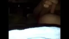 চালান তার গাধা পাড়া পান