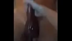 تشغيل حليب يرقص ساشاي