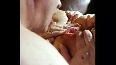 播放 冰冷的小猫