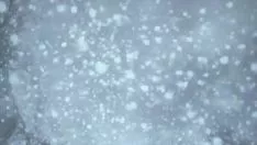 Play Nightsoulfulnesss3 funny remark