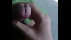 चलाएँ स्वादिष्ट बर्डवॉच निकलते हैं
