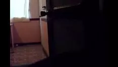 चलाएँ रन [www.maintainvid.com] flv पर इमोडरेटनाइटस्टीवर्ड स्ट्रिपटीज़ लोमड़ी