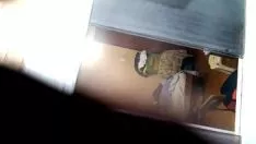 Putar Prof - rica menyambut saya