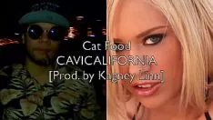 Jouer Cavicalif. - nourriture pour chat [coup de coude. par kagney linn]