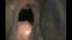 تشغيل 2422837 شجرة الأبنوس تنفث بشدة