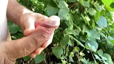 चलाएँ लीक हुए हस्तमैथुन वीडियो के साथ सार्वजनिक अधिकारी का फोन चोरी हो गया