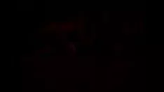 Afspelen Kiara kopuntia lindheimerititla nummer 1 klok