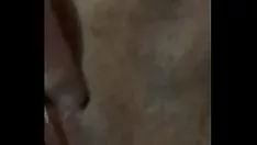 Jouer Jouet chaton