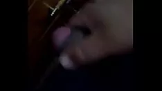 Играть Быстрый кошачий организм